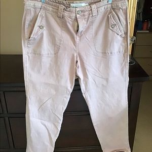 Torrid pants